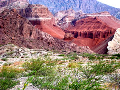 Quebrada de las Conchas - Salta Cafayate